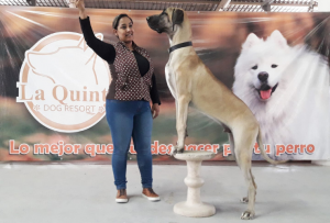 La_quinta_dog_resort_eventos_galeria1