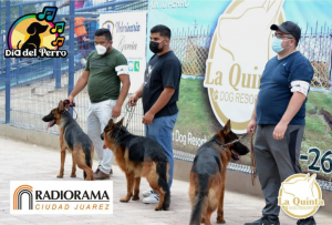 La_quinta_dog_resort_eventos_galeria3