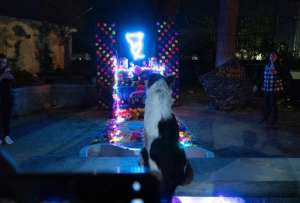 la_quinta_dog_resort_festividades_galeria1